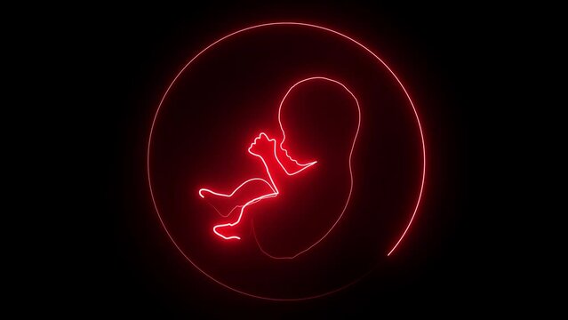 Human embryonic and fontal development. glowing neon human fetus inside the womb. human anatomy baby.