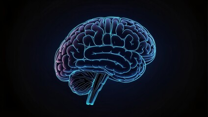 Obraz premium illuminated human brain blue transparent . AI technology concept 