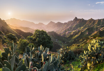 Blick in das Anaga Gebirge, Rural Park, Teneriffa, Kanarische Inseln, Spanien
