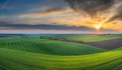 spring panorama of green sown crops during sunset