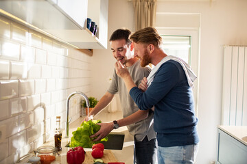 Young gay male couple preparing healthy vegetarian meal in the kitchen