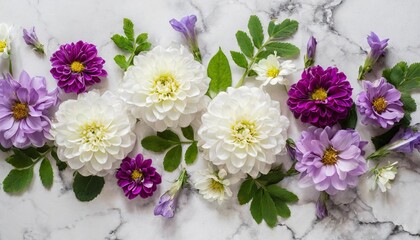 flowers composition white and purple flowers on marble background flat lay top view