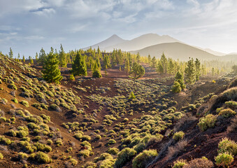 Teide vom Mirador de Samara, Mirador de Samara, Teneriffa, Kanarische Inseln, Spanien