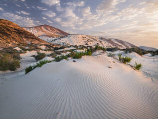 Sanddünen am Playa de Sotavento de Jandia, Fuerteventura, Kanarische Inseln, Spanien