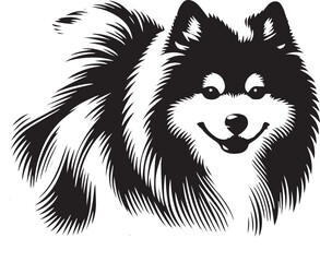 Vintage Retro Styled Vector American Eskimo Dog, Black and White - illustration