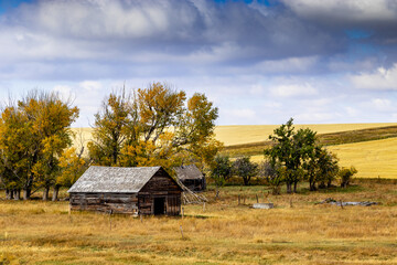 Overcast fall drive through Cardston County, Alnerta, Canada
