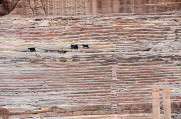 Naklejka premium Antiguo teatro de Petra, Jordania