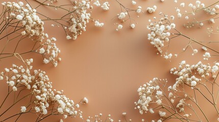 gypsophila babys breath delicate floral frame on a pastel neutral solid background, copy space, flat lay