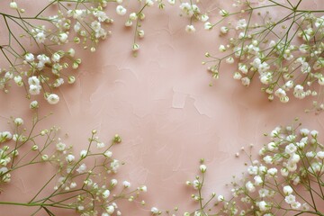 gypsophila babys breath delicate floral frame on a pastel neutral solid background, copy space, flat lay