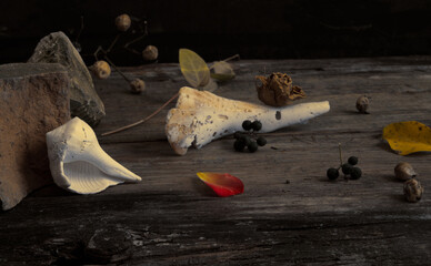 Vintage stil life photography (low key)