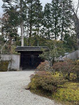 japanese garden