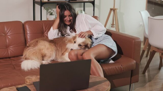 Young beautiful girl sitting on couch hugs a cute red-haired Border Collie dog. Laptop with a dog next to it. Woman plays with the dog, petting and hugging it. Friendship and relationships between