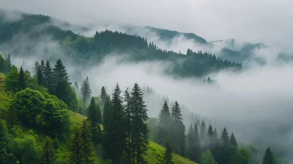 Fototapete Tatra Foggy mountain landscape. Carpathian mountains