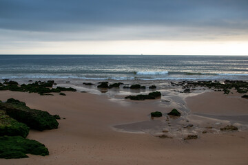 A view of the beach at low tide in Monterey, California.