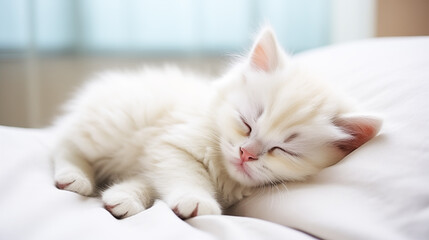  cute kitten sleepy look comfy white background generate AI