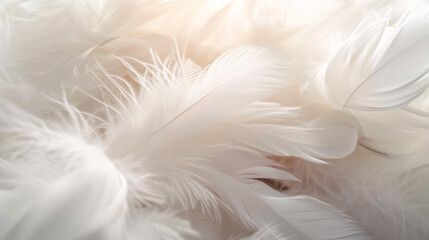 background of airy white feathers