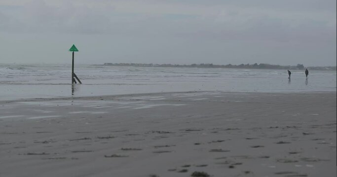 Camera pans left across West Wittering Beach as many people walk and play with their dogs
