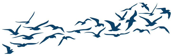 Ensemble de silhouettes de mouettes qui s'envolent - Oiseaux - Envol - Mouvement d'ailes - Bannière - Mouette - Bleu - Marine - Animal marin - obrazy, fototapety, plakaty