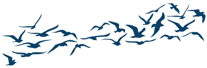 Fototapeten Ensemble de silhouettes de mouettes qui s'envolent - Oiseaux - Envol - Mouvement d'ailes - Bannière - Mouette - Bleu - Marine - Animal marin © Manon