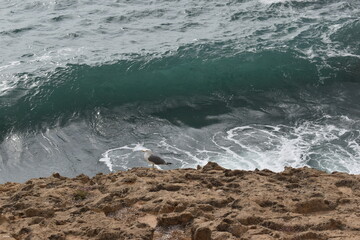 waves on the beach