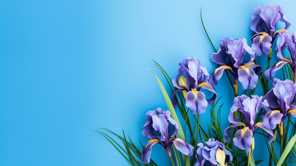 spring background irises blue turquoise background for postcards congratulations wedding or birthday invitations