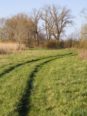 Tire tracks on green grass