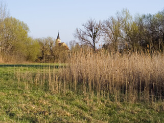 Spring landscape with church