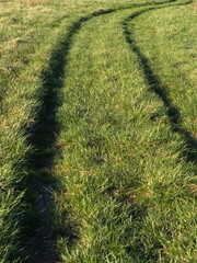 Tire tracks on green grass - 732738259