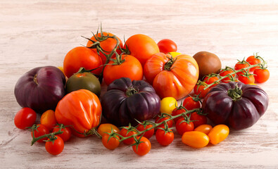  different sorts tomatoes