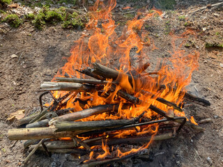 a barbecue campfire is built in the forest