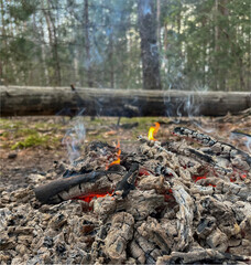 Obraz premium a barbecue campfire is built in the forest