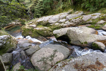 Mt. Tachu in Yakushima island