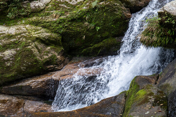 Mt. Tachu in Yakushima island