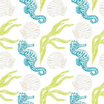 Marine pattern with sea horse, seamless. Graphic. Shell, algae. Vector illustration. Cards, covers, posters, banners, packaging, textiles, wallpaper.