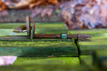 zamek zasuwa zardzewiała  z kłódką na starej pokrytej mchem furtce w tle widoczne jesienne liście © DP.REPORT