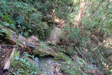 Mt. Tachu in Yakushima island