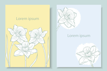 Daffodil. Two delicate backgrounds of blue and yellow color with the image of spring flower. Botanical flat illustration. Postcard, invitation, label, flyer with floral elements.