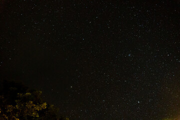 Fototapeta na wymiar Yakushima night sky with beautiful stars
