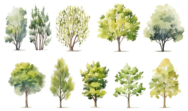 Tree set with green leaves isolated on white, tree collection, watercolor illustration generative ai