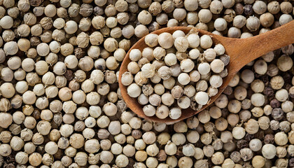 White peppercorns background, top view. Close up of a background of white peppercorns