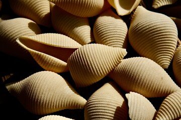 Italian pasta. A composition with Italian pasta. Close-up.