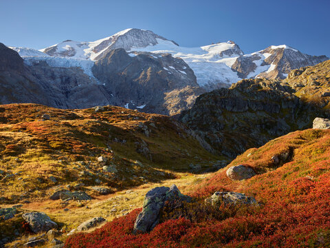 Gw&auml;chtenhorn, Vordertierberg, Steingletscher, Bern, Schweiz