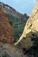 Canyon in the Arizona sonoran desert