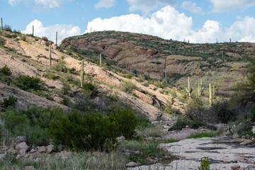 Canyon in the Arizona sonoran desert