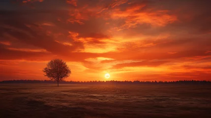 Möbelaufkleber 美しい夕焼け空と木 © KKH1215