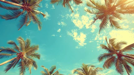 Photo sur Aluminium Corail vert Majestic palm trees sway under a bright sunny sky.