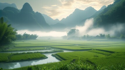 In the spring morning, the mature paddy field scenery, the white fog on the field. Generative AI.