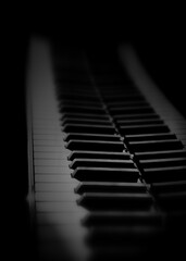 Piano keyboard close up. Grand piano keys - 732783207