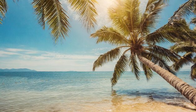 blue sky and palm trees view from below vintage style tropical beach and summer background travel concept