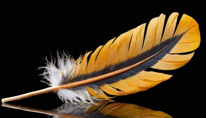 3d rendering of mexican feather isolated